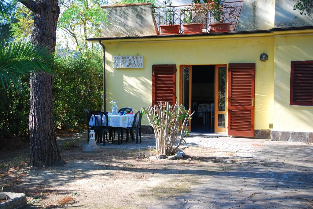 Apartment Acacia - Zona Centrale, Con Clima, Giardino Privato E Posto Auto